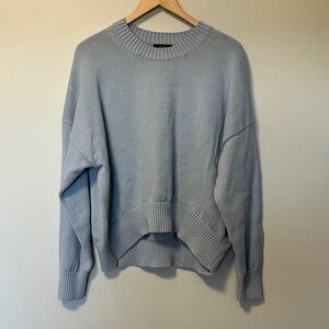 Quince 100% Organic Cotton Boyfriend Crew Sweater in Light Blue